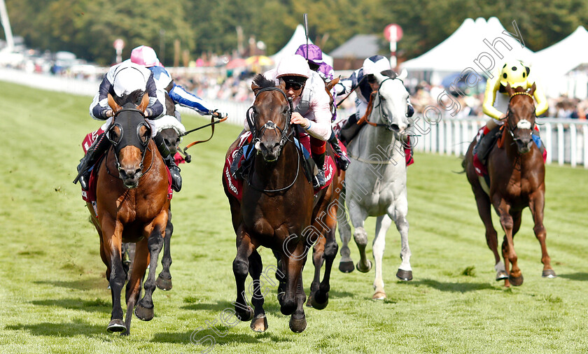 Too-Darn-Hot-0005 
 TOO DARN HOT (centre, Frankie Dettori) beats CIRCUS MAXIMUS (left) in The Qatar Sussex Stakes
Goodwood 31 Jul 2019 - Pic Steven Cargill / Racingfotos.com