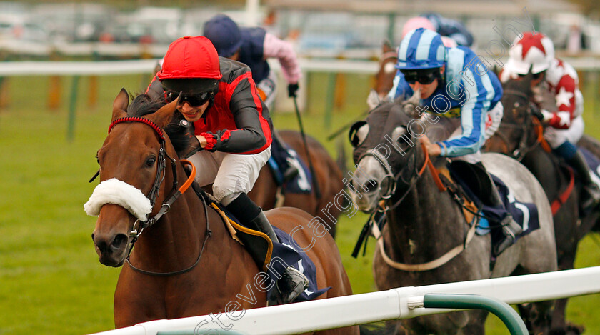 Broughtons-Story-0004 
 BROUGHTONS STORY (Jack Osborn) wins The Haven Seashire Holiday Park Handicap Yarmouth 16 Oct 2017 - Pic Steven Cargill / Racingfotos.com