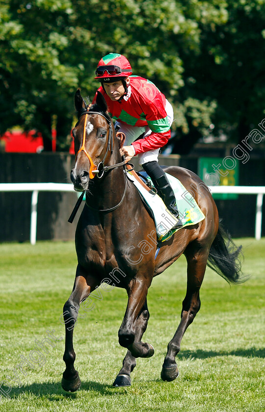 Son-0001 
 SON (Pat Dobbs)
Newmarket 15 Jul 2023 - Pic Steven Cargill / Racingfotos.com