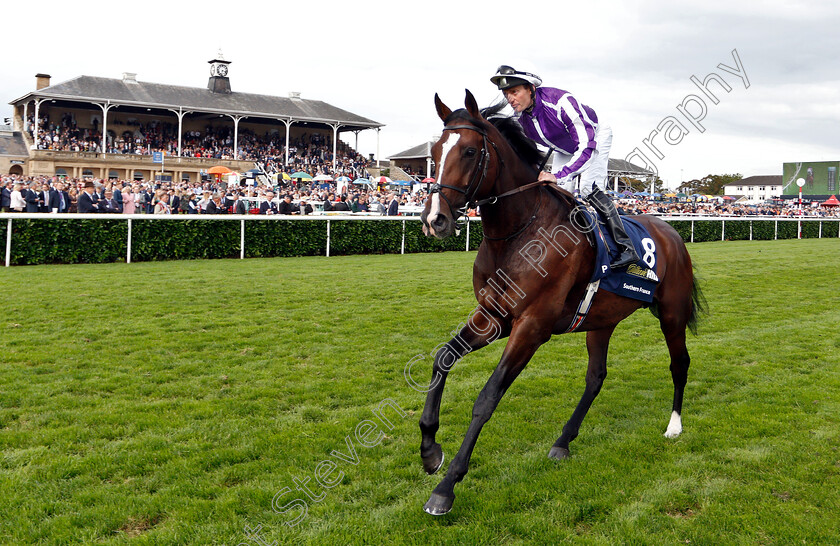 Southern-France-0001 
 SOUTHERN FRANCE (Seamie Heffernan)
Doncaster 15 Sep 2018 - Pic Steven Cargill / Racingfotos.com