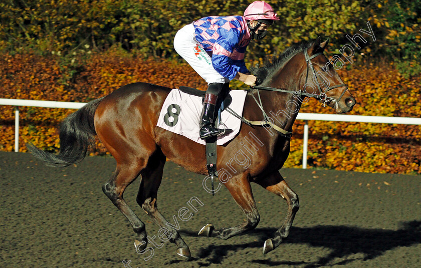 Rainbow-Sign-0001 
 RAINBOW SIGN (Finley Marsh)
Kempton 11 Nov 2020 - Pic Steven Cargill / Racingfotos.com