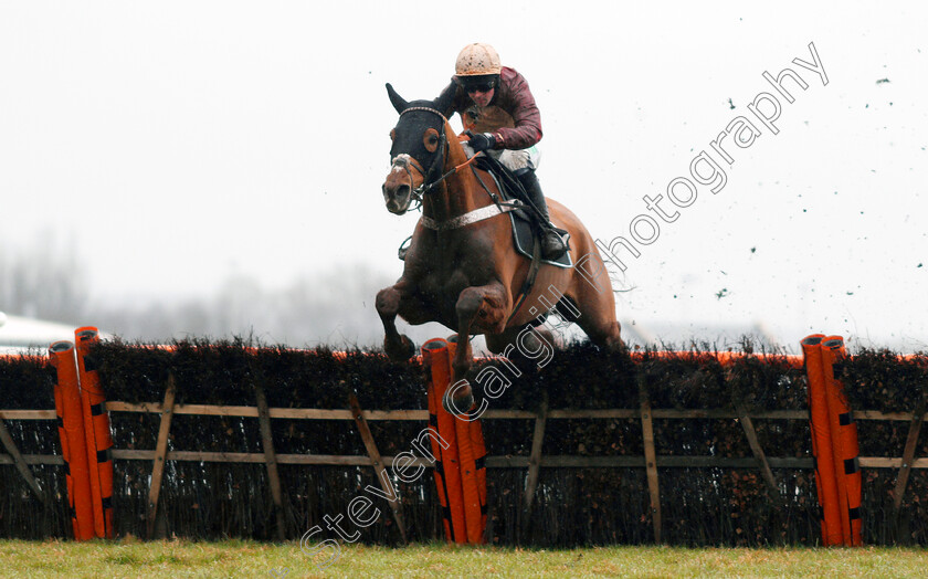 Whatswrongwithyou-0003 
 WHATSWRONGWITHYOU (Nico de Boinville) wins The Read Paul Nicholls Exclusively At Betfair Novices Hurdle Newbury 10 Feb 2018 - Pic Steven Cargill / Racingfotos.com