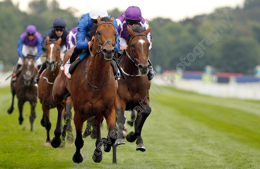 Old-Persian-0007 
 OLD PERSIAN (James Doyle) beats KEW GARDENS (right) in The Sky Bet Great Voltigeur Stakes
York 22 Aug 2018 - Pic Steven Cargill / Racingfotos.com