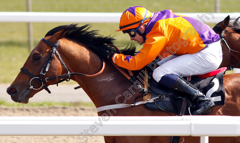 Compass-Point-0005 
 COMPASS POINT (Seamus Cronin) wins The Transparent Recruitment Solutions Ltd Apprentice Handicap
Chelmsford 11 Apr 2019 - Pic Steven Cargill / Racingfotos.com