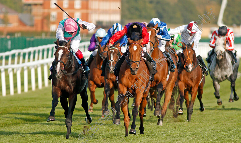 Daphne-0005 
 DAPHNE (centre, Ryan Moore) beats WEEKENDER (left) in The Dubai Duty Free Finest Surprise Handicap Newbury 23 Sep 2017 - Pic Steven Cargill / Racingfotos.com