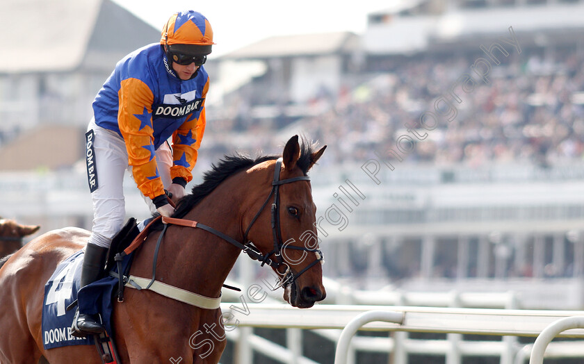 Knocknanuss-0001 
 KNOCKNANUSS (Jamie Moore)
Aintree 6 Apr 2019 - Pic Steven Cargill / Racingfotos.com