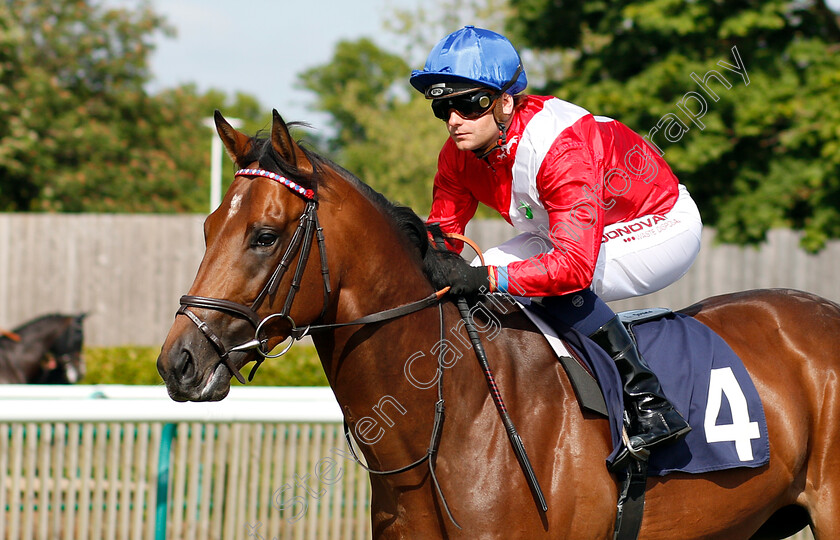 Alexanderthegreat-0001 
 ALEXANDERTHEGREAT (Liam Jones)
Newmarket 18 May 2018 - Pic Steven Cargill / Racingfotos.com