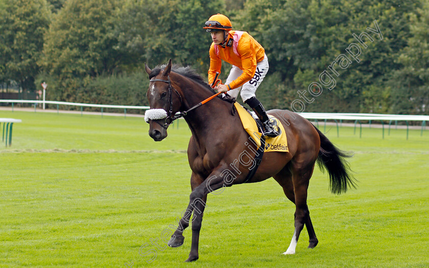 Rajinsky-0001 
 RAJINSKY (Richard Kingscote)
Haydock 4 Sep 2021 - Pic Steven Cargill / Racingfotos.com