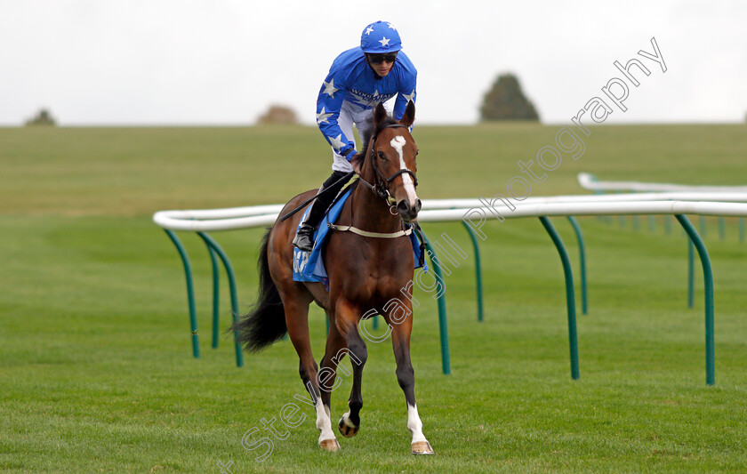 Tardis 
 TARDIS (James Doyle)
Newmarket 8 Oct 2021 - Pic Steven Cargill / Racingfotos.com