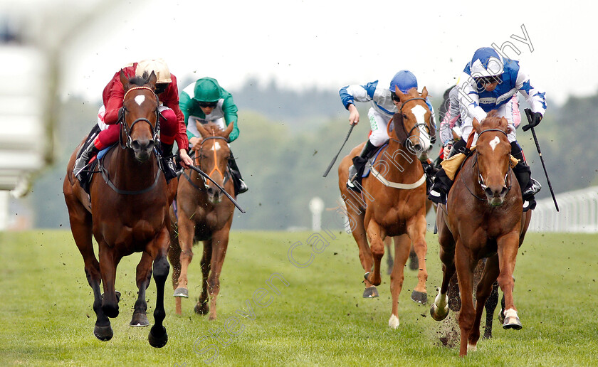 Muchly-0004 
 MUCHLY (left, Frankie Dettori) beats QUEEN POWER (right) in The Naas Racecourse Royal Ascot Trials Day British EBF Fillies Stakes
Ascot 1 May 2019 - Pic Steven Cargill / Racingfotos.com