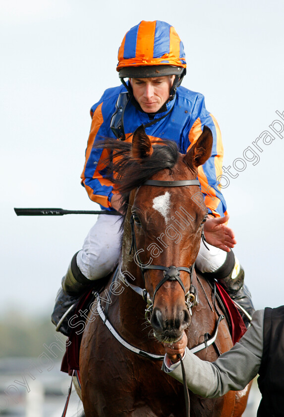 Order-Of-St-George-0011 
 ORDER OF ST GEORGE (Ryan Moore) after The Comer Group International Irish St Leger Curragh 10 Sep 2017 - Pic Steven Cargill / Racingfotos.com