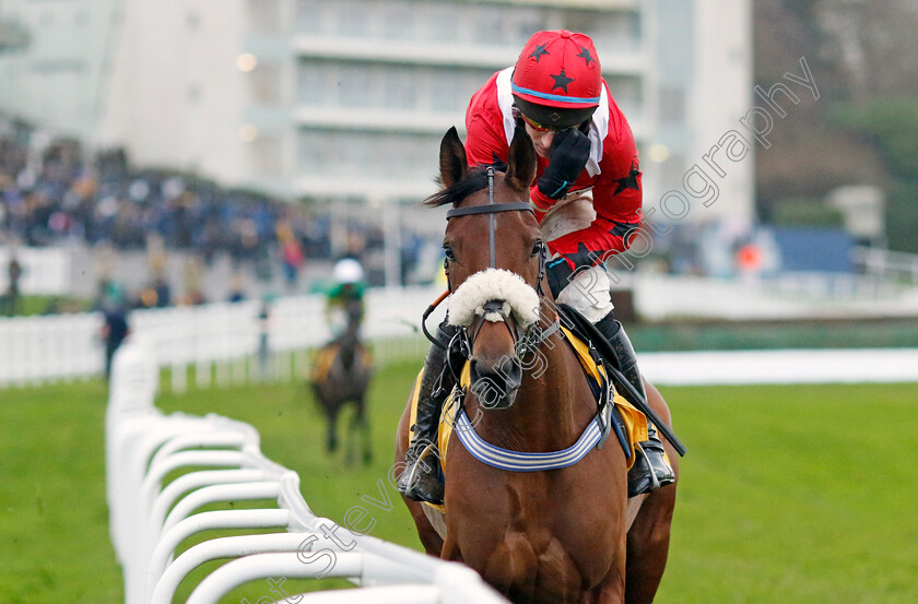 Soul-Icon-0002 
 SOUL ICON (Gavin Sheehan)
Sandown 7 Dec 2024 - Pic Steven Cargill / Racingfotos.com