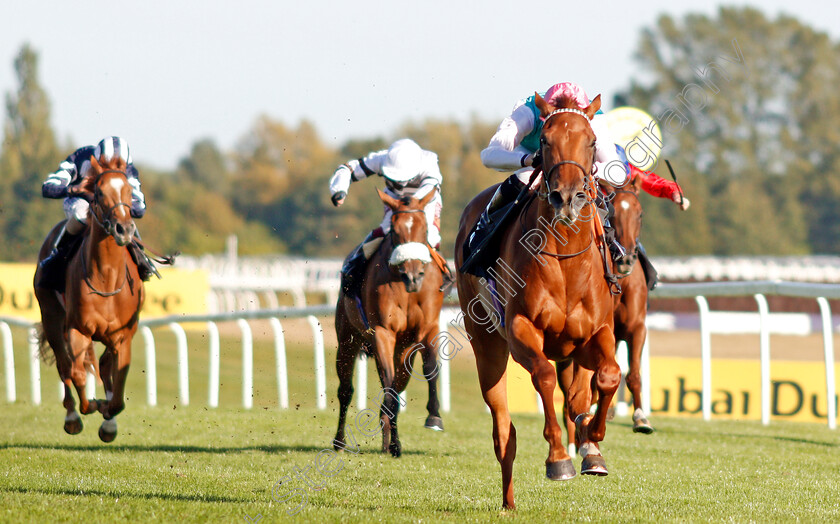 Quadrilateral-0007 
 QUADRILATERAL (Jason Watson) wins The Dubai Duty Free Full Of Surprises British EBF Fillies Conditions Stakes
Newbury 20 Sep 2019 - Pic Steven Cargill / Racingfotos.com