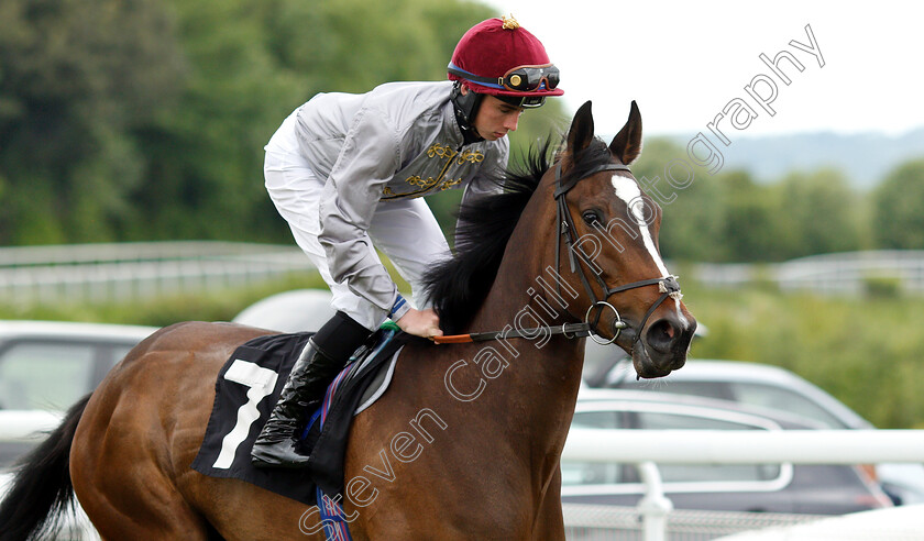 Al-Messila-0002 
 AL MESSILA (Rossa Ryan)
Goodwood 24 May 2019 - Pic Steven Cargill / Racingfotos.com