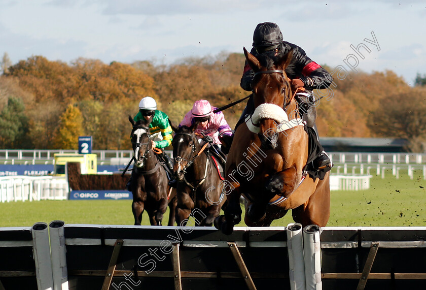 First-Confession-0001 
 FIRST CONFESSION (Brendan Powell) wins The Safer Gambling Week National Hunt Maiden Hurdle
Ascot 22 Nov 2024 - Pic Steven Cargill / Racingfotos.com