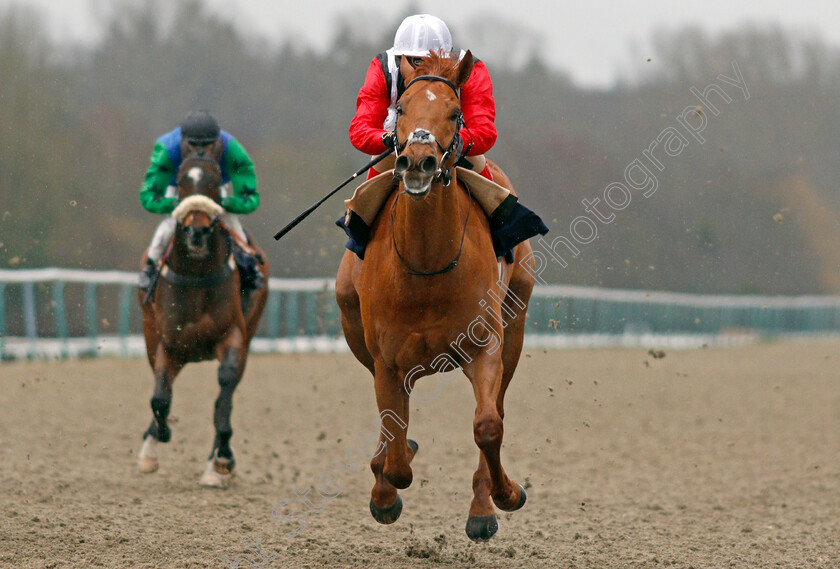 Harry s-Bar-0004 
 HARRY'S BAR (Andrea Atzeni) wins The Heed Your Hunch At Betway Handicap
Lingfield 15 Feb 2020 - Pic Steven Cargill / Racingfotos.com