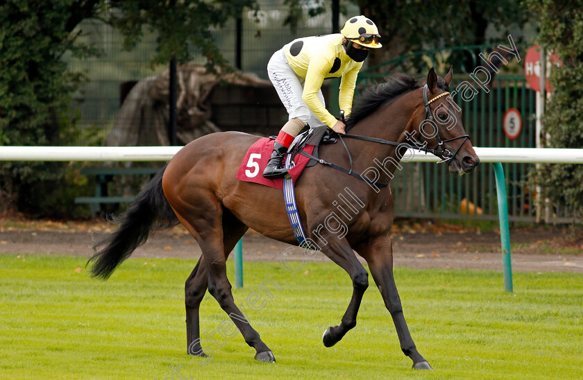 Without-A-Fight-0003 
 WITHOUT A FIGHT (Andrea Atzeni) winner of The Read Ryan Moore Columns On Betting.Betfair Handicap
Haydock 3 Sep 2020 - Pic Steven Cargill / Racingfotos.com