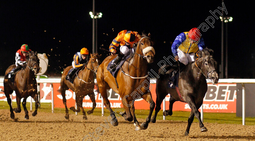 Mount-Tahan-0001 
 MOUNT TAHAN (centre, Kevin Stott) beats MARATHA (right) in The Betway Casino Handicap Wolverhampton 15 Jan 2018 - Pic Steven Cargill / Racingfotos.com