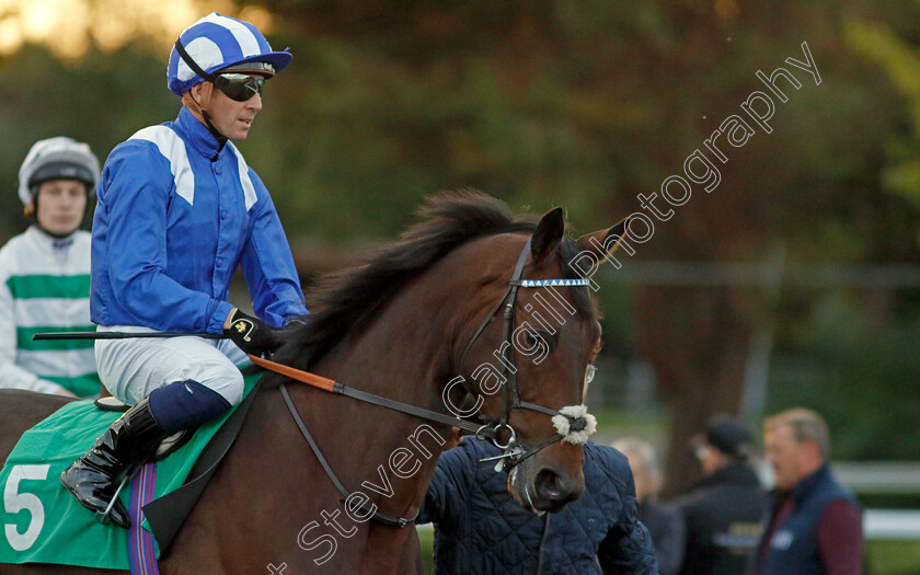 Eben-Zaabeel-0001 
 EBEN ZAABEEL (Jim Crowley)
Kempton 2 Oct 2024 - pic Steven Cargill / Racingfotos.com