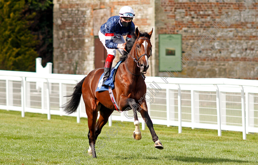 Dual-Identity-0001 
 DUAL IDENTITY (David Egan)
Salisbury 1 Oct 2020 - Pic Steven Cargill / Racingfotos.com