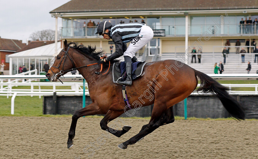 Fancy-Man-0008 
 FANCY MAN (Sean Levey) wins The Betway Winter Derby Trial Stakes
Lingfield 5 Feb 2022 - Pic Steven Cargill / Racingfotos.com