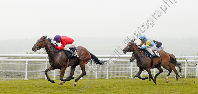 Magnolia-Springs-0002 
 MAGNOLIA SPRINGS (Charles Bishop) beats SHAHEREZADA (right) in The netbet.co.uk Height Of Fashion Stakes Goodwood 24 May 2018 - Pic Steven Cargill / Racingfotos.com