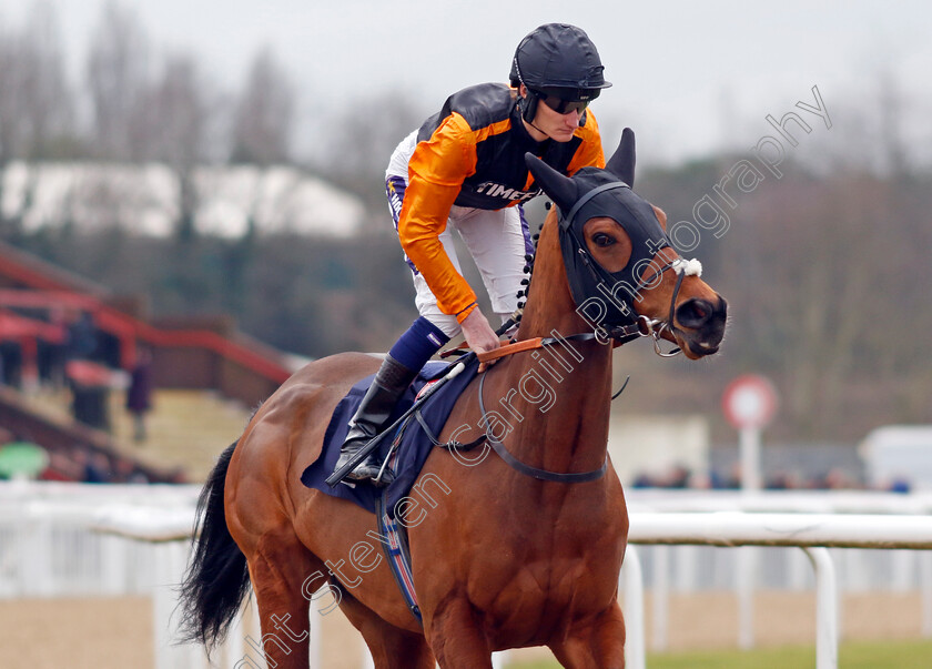 Intervention-0003 
 INTERVENTION (Daniel Muscutt)
Wolverhampton 9 Mar 2024 - Pic Steven Cargill / Racingfotos.com