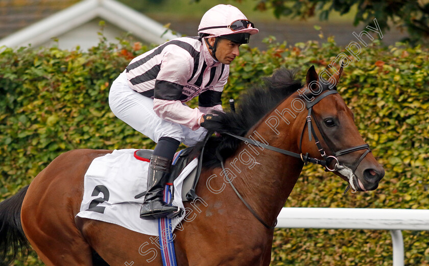 Beechdale-0001 
 BEECHDALE (Silvestre de Sousa)
Kempton 6 Sep 2024 - Pic Steven Cargill / Racingfotos.com