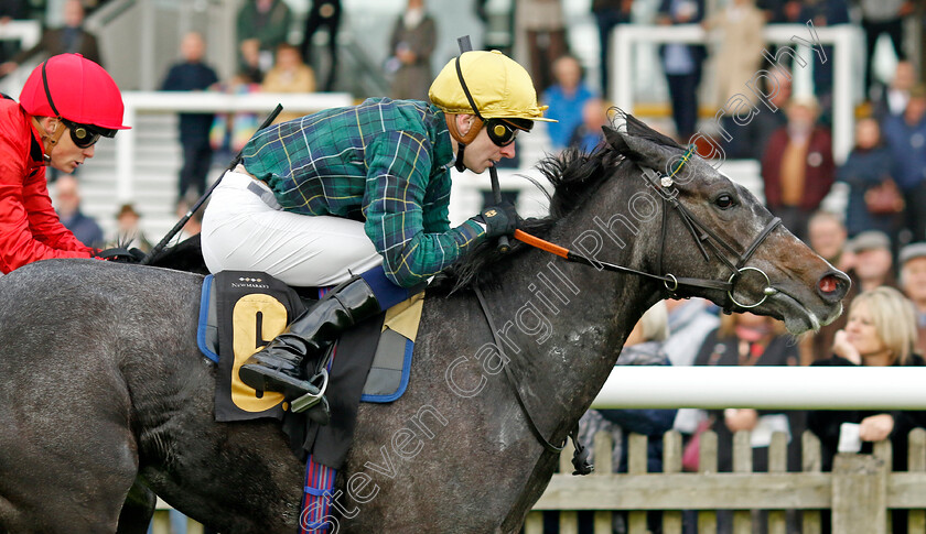 Shemozzle-0001 
 SHEMOZZLE (Hector Crouch) wins The racingtv.com Fillies Restricted Novice Stakes
Newmarket 25 Oct 2023 - Pic Steven Cargill / Racingfotos.com