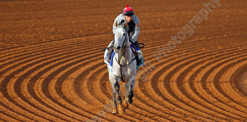 Art-Power-0002 
 ART POWER (David Allan) training for The 1351 Turf Sprint
King Abdulaziz Racecourse, Saudi Arabia 20 Feb 2024 - Pic Steven Cargill / Racingfotos.com