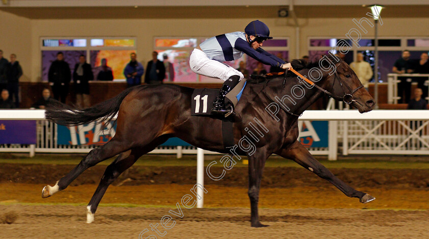 Bowerman-0006 
 BOWERMAN (Jack Mitchell) wins The Bet toteexacta At betfred.com Handicap Chelmsford 7 Dec 2017 - Pic Steven Cargill / Racingfotos.com