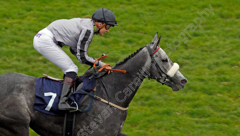 Our-Greta-0005 
 OUR GRETA (Ryan Tate) wins The Grosvenor Casino Of Great Yarmouth Handicap Yarmouth 24 Oct 2017 - Pic Steven Cargill / Racingfotos.com