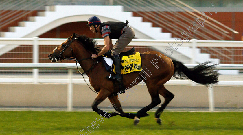 Century-Dream-0001 
 CENTURY DREAM training for the Dubai Turf
Meydan 27 Mar 2019 - Pic Steven Cargill / Racingfotos.com