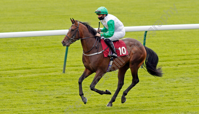 Wanted-0001 
 WANTED (Paul Hanagan)
Haydock 3 Sep 2020 - Pic Steven Cargill / Racingfotos.com