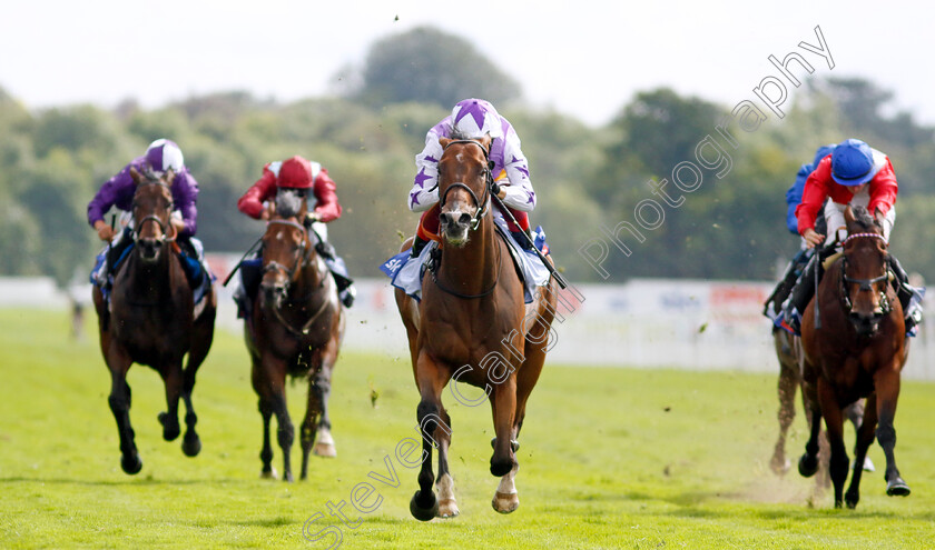 Kinross-0007 
 KINROSS (Frankie Dettori) wins The Sky Bet City Of York Stakes
York 26 Aug 2023 - Pic Steven Cargill / Racingfotos.com