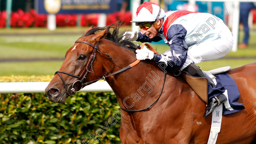 Sir-Dancealot-0007 
 SIR DANCEALOT (Gerald Mosse) wins The Hird Rail Group Park Stakes
Doncaster 14 Sep 2019 - Pic Steven Cargill / Racingfotos.com