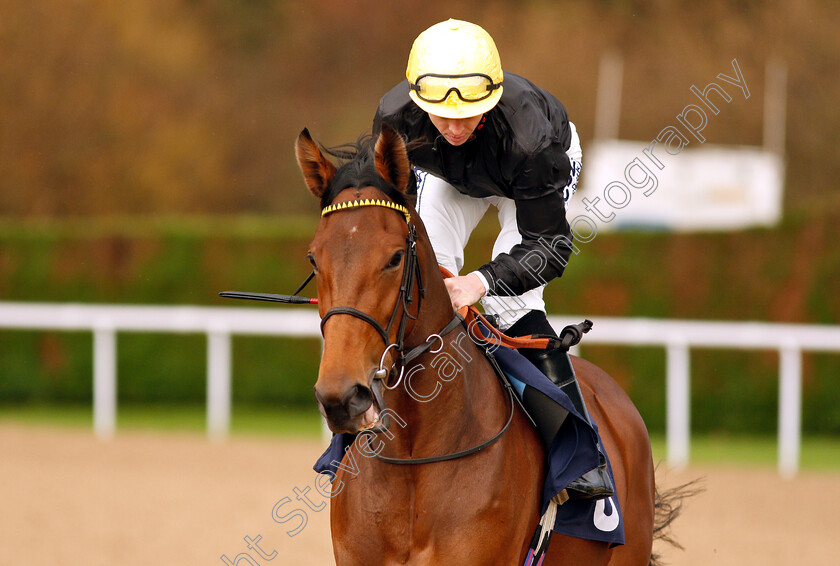 Baba-Ghanouj-0001 
 BABA GHANOUJ (David Probert) winner of The Ladbrokes Home Of The Odds Boost Fillies Novice Stakes Div2
Wolverhampton 28 Nov 2018 - Pic Steven Cargill / Racingfotos.com