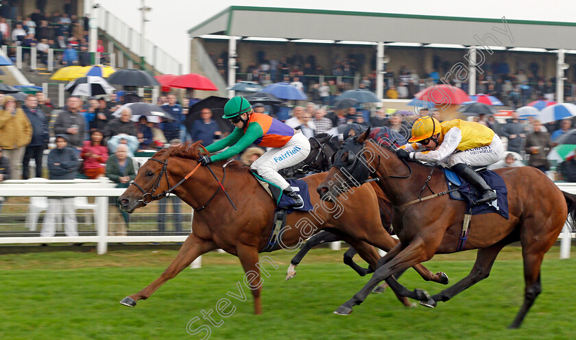 Araifjan-0002 
 ARAIFJAN (Grace McEntee) beats INVINCIBLE LARNE (right) in The Follow @attheraces On Twitter Handicap
Yarmouth 14 Sep 2021 - Pic Steven Cargill / Racingfotos.com