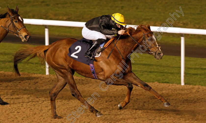 Amniarix-0004 
 AMNIARIX (Richard Kingscote) wins The Get Your Ladbrokes Daily Odds Boost Fillies Stakes
Wolverhampton 4 Jan 2021 - Pic Steven Cargill / Racingfotos.com