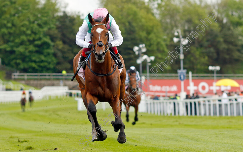 Arrest-0006 
 ARREST (Frankie Dettori) wins The Boodles Chester Vase
Chester 10 May 2023 - Pic Steven Cargill / Racingfotos.com