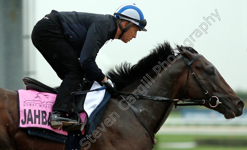 Jahbath-0006 
 JAHBATH (Jim Crowley) training for The UAE Derby
Meydan 28 Mar 2019 - Pic Steven Cargill / Racingfotos.com