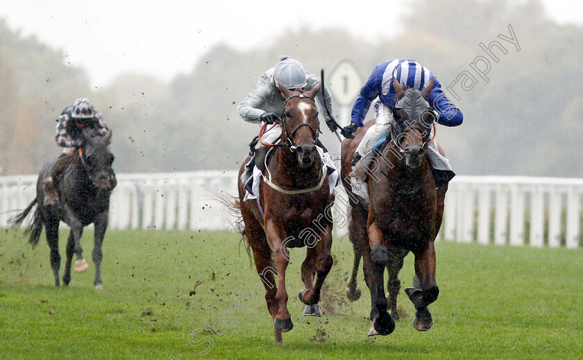 Laraaib-0002 
 LARAAIB (right, Jim Crowley) beats COMMUNIQUE (left) in The Stella Artois Cumberland Lodge Stakes
Ascot 6 Oct 2018 - Pic Steven Cargill / Racingfotos.com