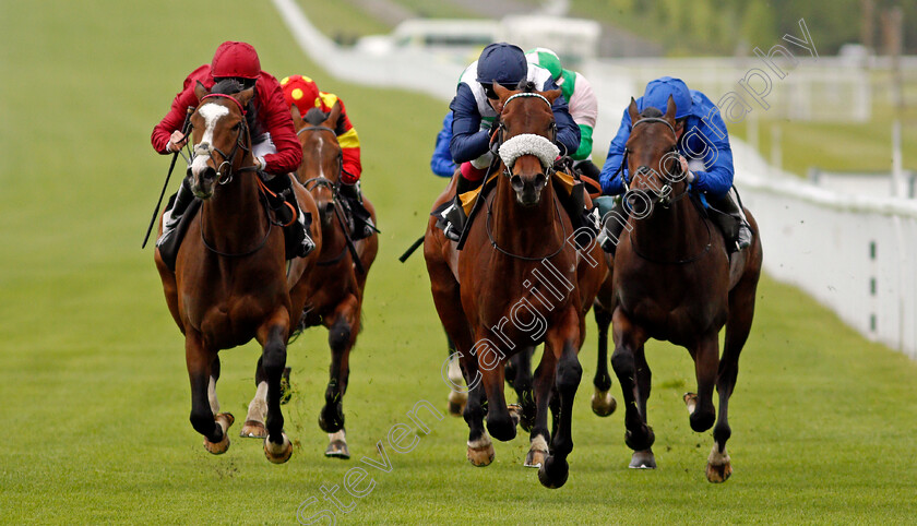 Masekela-0003 
 MASEKELA (centre, Oisin Murphy) beats GOLDEN WAR (left) and FALL OF ROME (right) in The British EBF Novice Stakes
Goodwood 21 May 2021 - Pic Steven Cargill / Racingfotos.com