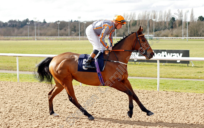 Astro-Jakk 
 ASTRO JAKK (Sam James)
Wolverhampton 12 Mar 2022 - Pic Steven Cargill / Racingfotos.com