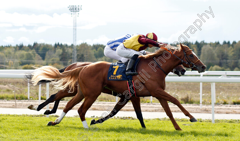 Red-Cactus-0004 
 RED CACTUS (Elione Chaves) wins The Timeform Svealandlopning
Bro Park, Sweden 23 Sep 2018 - Pic Steven Cargill / Racingfotos.com