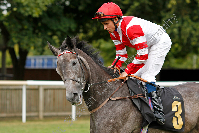 Ashky-0003 
 ASHKY (William Buick) winner of The Turners Handicap
Newmarket 30 Jul 2022 - Pic Steven Cargill / Racingfotos.com