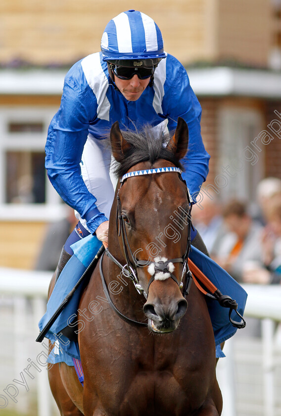 Minzaal-0002 
 MINZAAL (Jim Crowley)
York 11 May 2022 - Pic Steven Cargill / Racingfotos.com