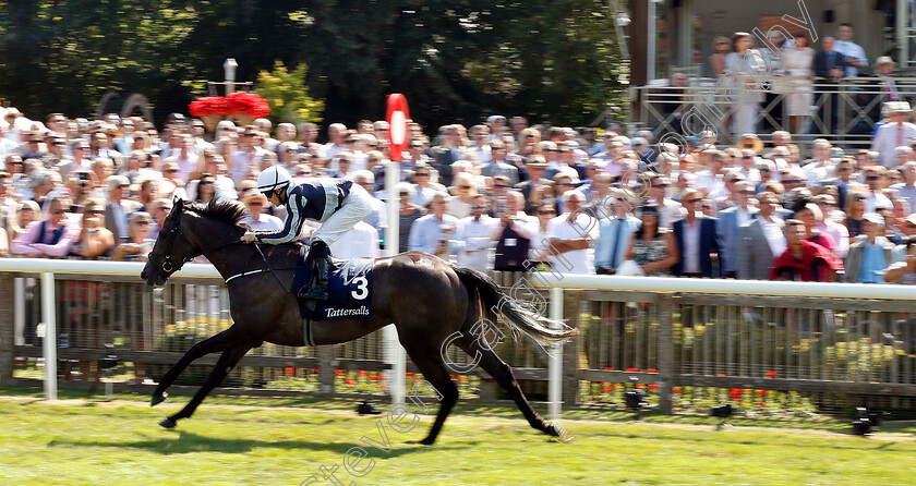 Alpha-Centauri-0006 
 ALPHA CENTAURI (Colm O'Donoghue) wins The Tattersalls Falmouth Stakes
Newmarket 13 Jul 2018 - Pic Steven Cargill / Racingfotos.com