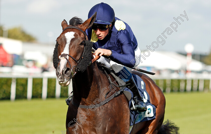 Maybe-Today-0006 
 MAYBE TODAY (William Buick) wins The British EBF Premier Fillies Handicap
Doncaster 11 Sep 2019 - Pic Steven Cargill / Racingfotos.com