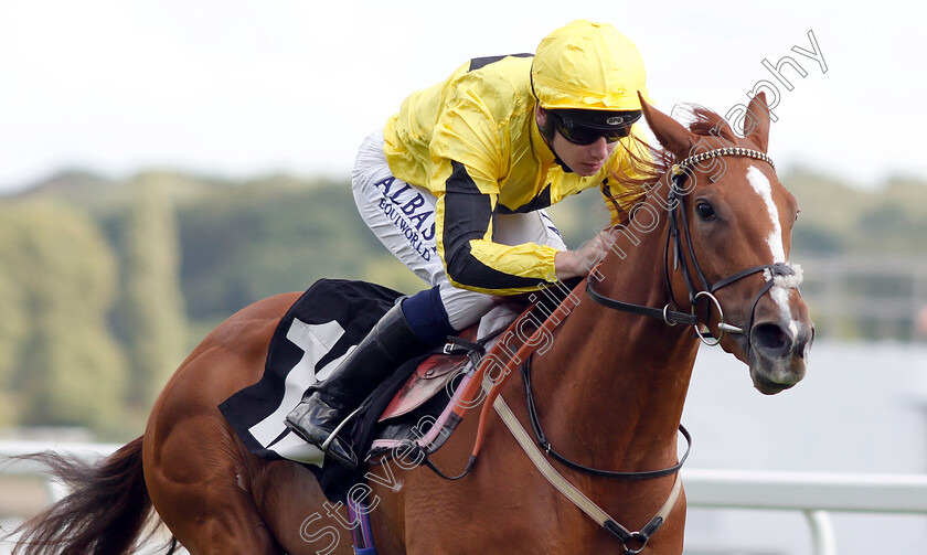 Shumookhi-0006 
 SHUMOOKHI (Oisin Murphy) wins The Byerley Stud St Hugh's Stakes
Newbury 17 Aug 2018 - Pic Steven Cargill / Racingfotos.com